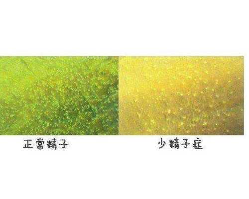 从安徽去泰国做代生孩子中介机构价格明细指南(到泰国做代生孩子中介机构需