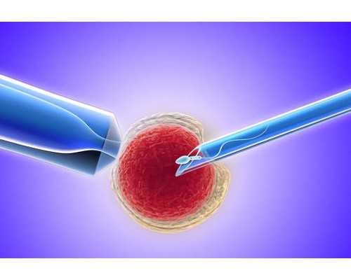 河北十佳试管供卵代怀医院？试管供卵代怀成功率排名比较好的医院推荐？