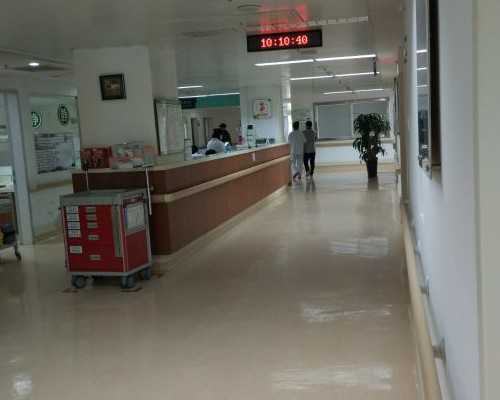 包生男孩包成功,没有卵巢能不能做试管婴儿