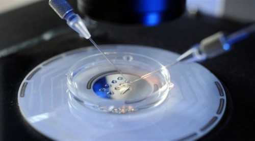 垂体性闭经两大病因 垂体性闭经预防与治疗