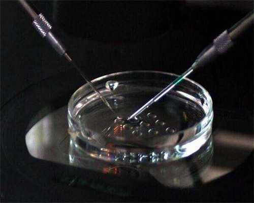 52岁没月经做三代试管费用高吗？附成功率、费用参考