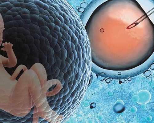 老公染色体异常做试管婴儿？老公染色体异常怀孕了要做哪些检查？