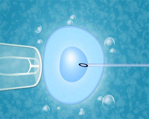 50岁卵子试管成功率高不高？50岁能做试管婴儿吗？