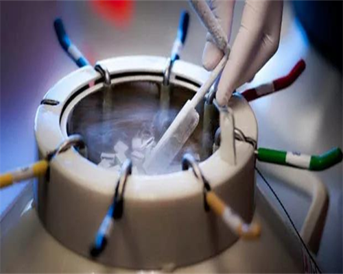 河北能做试管婴儿的正规医院哪个比较好