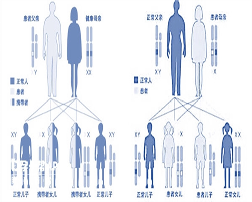 泰国代生公司怎样医院排名公布，囊胚多少钱！