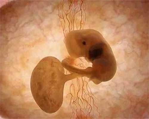 台湾做正规双胞胎代生养囊的好处，选择囊胚移植有4大好处