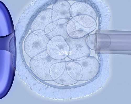 衢州第三方机构助孕价位，附上医院排名