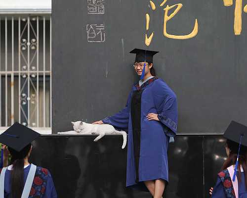 香菇_香菇的做法大全_香菇的营养价值_花菇和香菇的区别