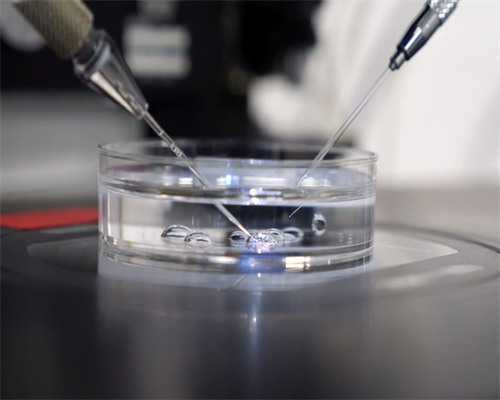 合肥三代代生女孩产子价格大概费用多少