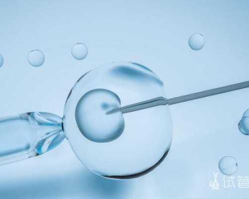 代生公司哪里专业促排卵8个成功率高吗？