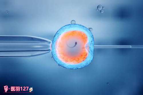 美国第三代代生机构生殖服务流程是怎样的？