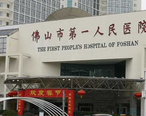 冻囊胚(超详细正规代生助孕公司移植冻囊胚一次性成功经验分享)