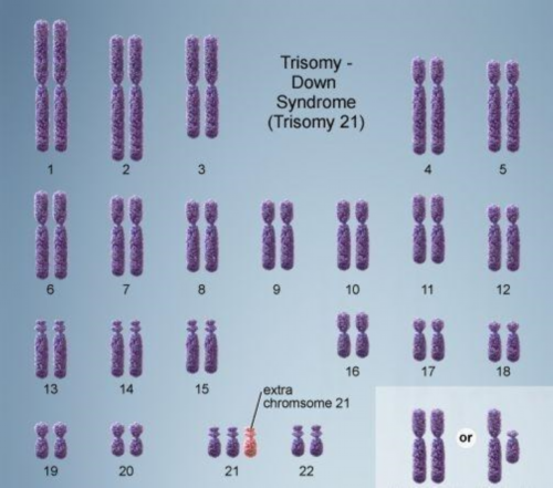 「江西代生什么价格三代」新余第三代代生什么价格成功率多少钱